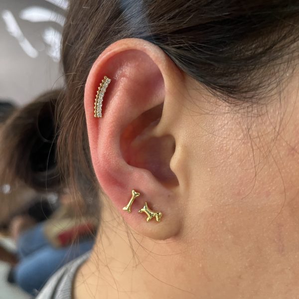 Bar conch