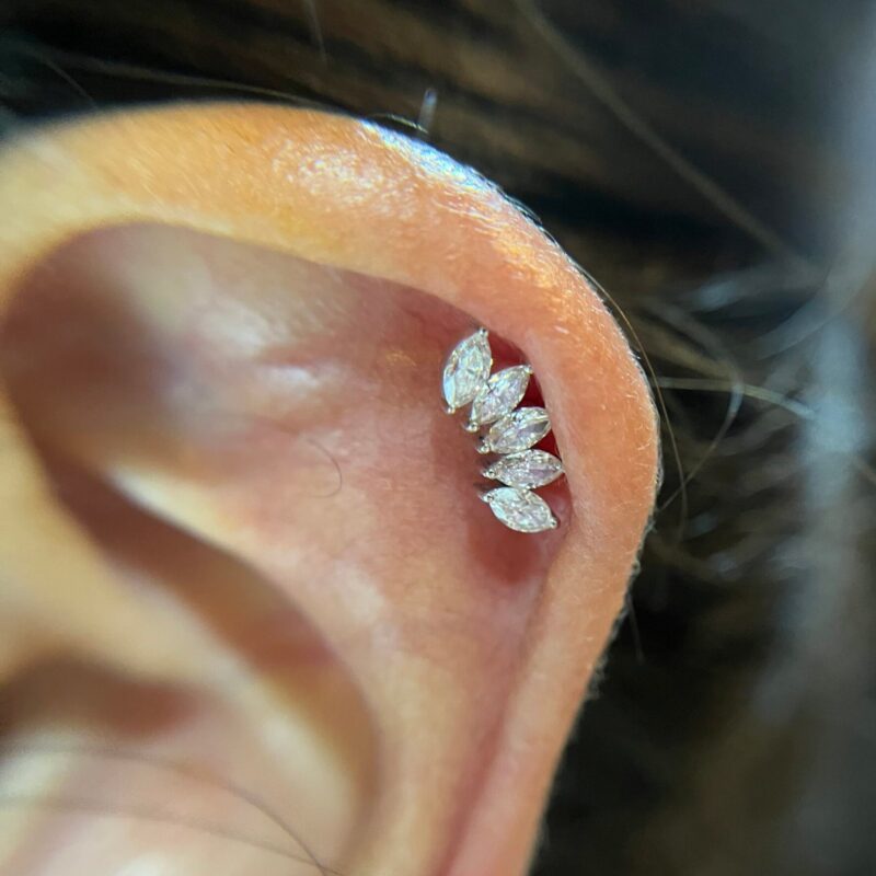 Crown Marquise - Image 7