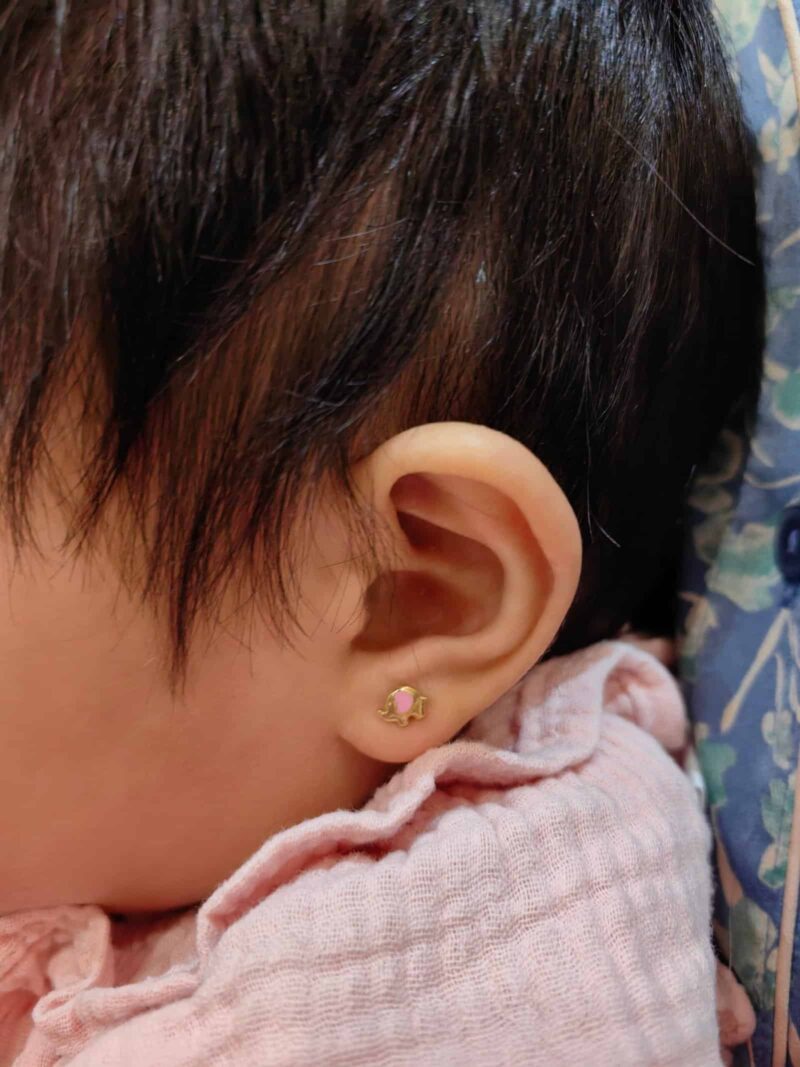 Elephant Enamel - Image 2