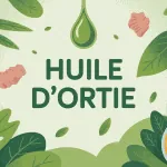huile d ortie illustration bienfaits usages cheveux peau articulations