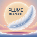image plume blanche signification sur trouver plume blanche