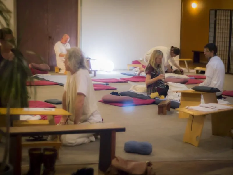 Diploma 4