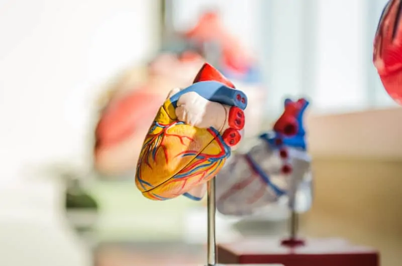 Physiology short course