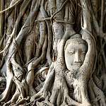 East asian philosophies in nature