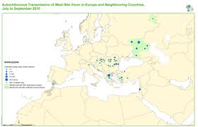 Mappa della diffusione del virus