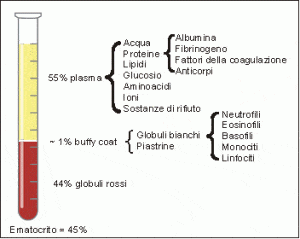 Componenti del sangue
