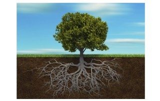 fare bene il bene intervento del filosofo Salvatore Veca