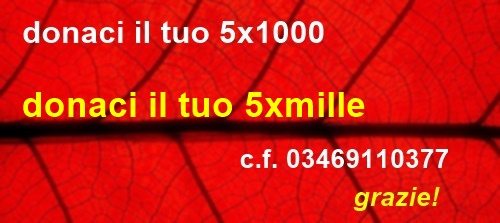 5xmille a avis c.f. 03469110377