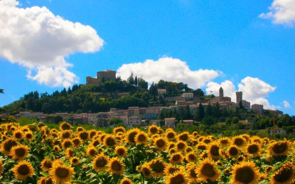 Bertinoro 2018