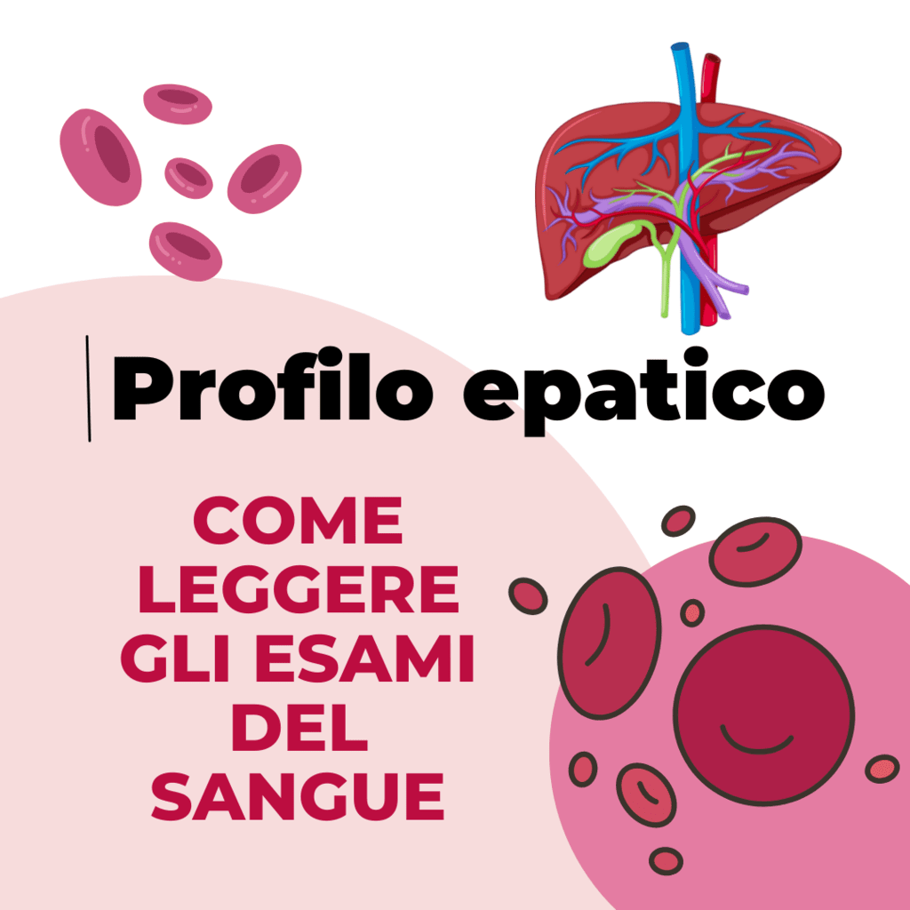 esami del sangue per il fegato come leggere il profilo epatico