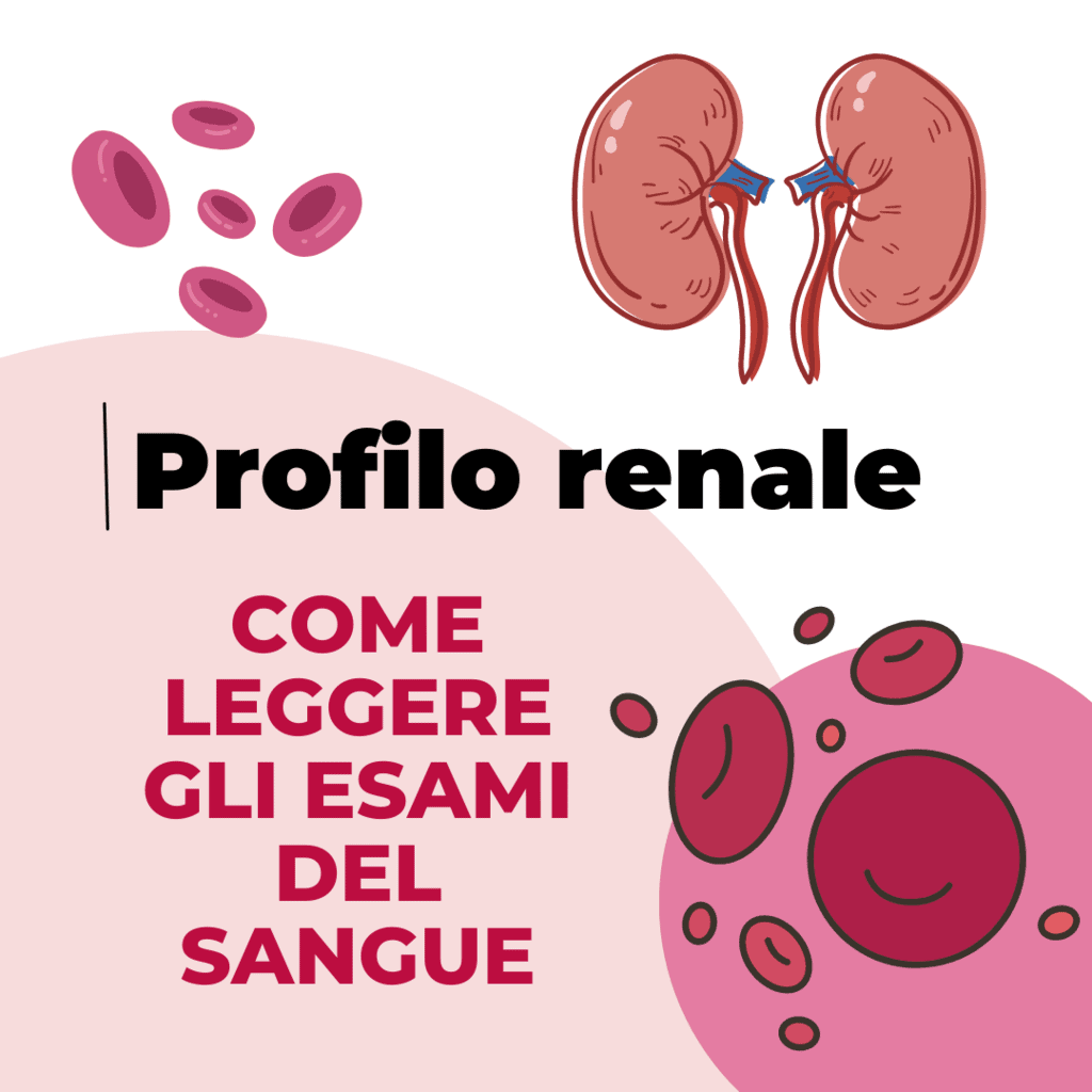 esami del sangue come leggere i valori dei reni