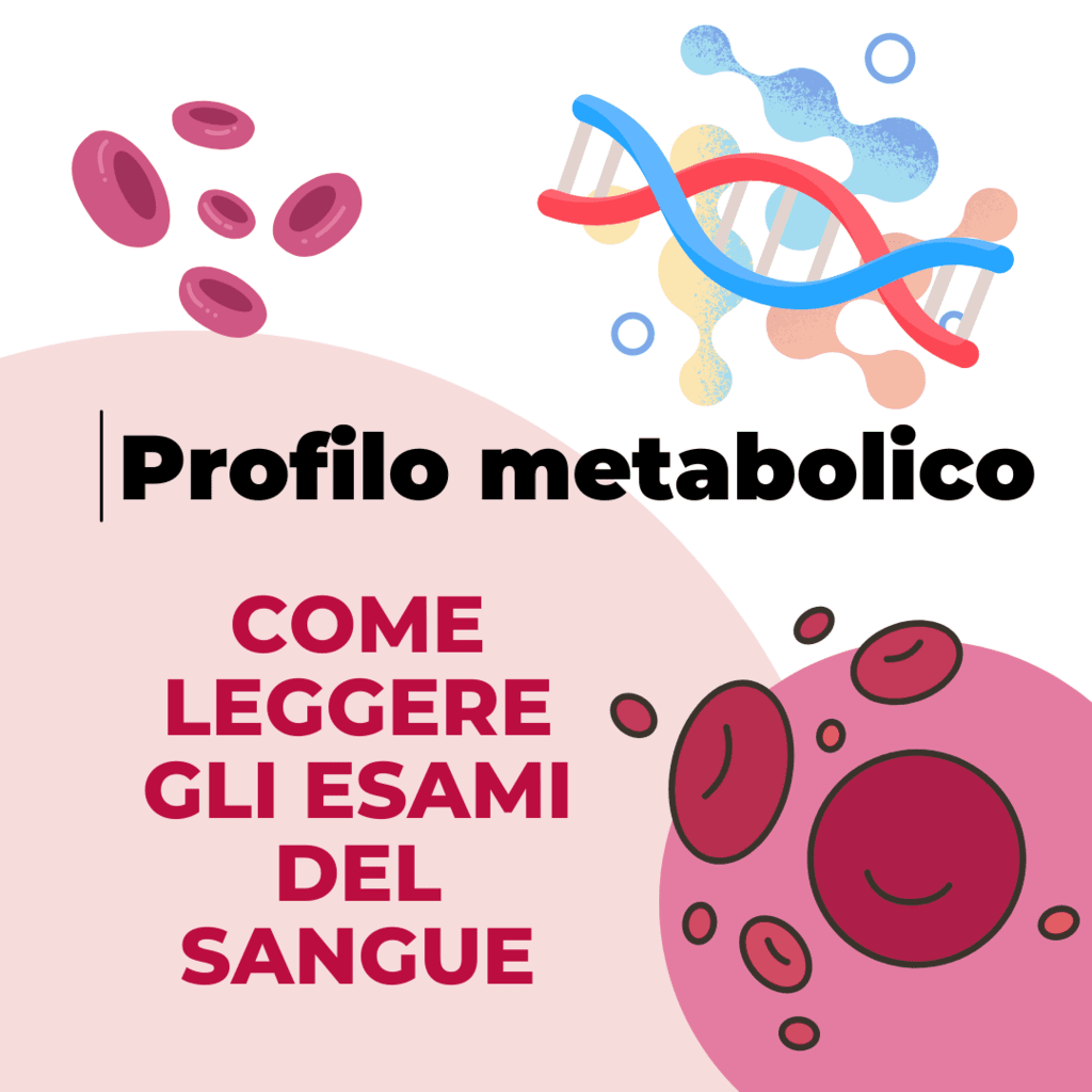 esame sangue per valutare lo stato di benessere generale del nostro corpo e stabilire l’eventuale presenza di alterazioni metaboliche
