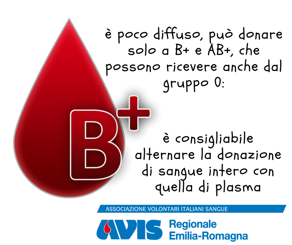gruppo B+