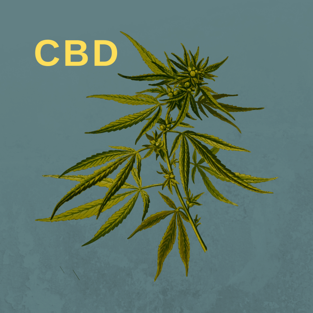 CBD o cannabis "light"