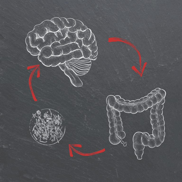 Microbiota
