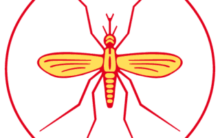 west nile e altri virus casi autoctoni 2023