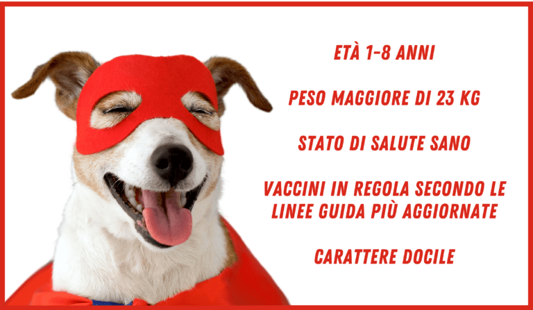 Requisiti donazione cane: età 1-8 anni; peso maggiore di 23kg; stato di salute sano; vaccini in regola con le linee guida più aggiornate; carattere docile