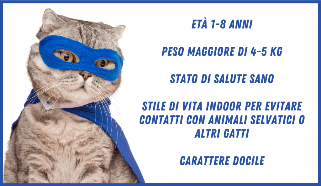 Requisiti donazione gatto: età 1-8 anni; peso maggiore di 4-5 kg; stato di salute sano; stile di vita indoor per evitare contatti con animali selvatici o altri gatti; carattere docile