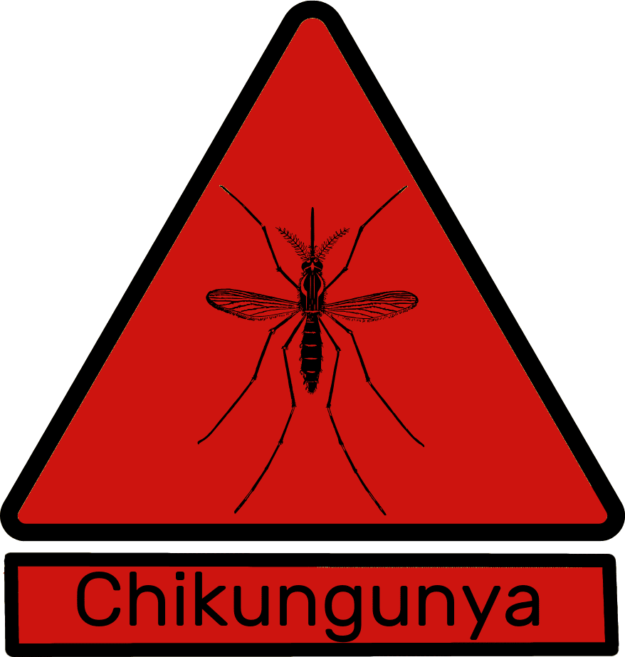 Chikungunya e donazione di sangue