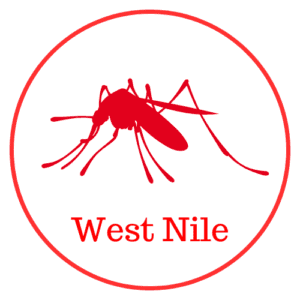 west nile virus e dengue casi autoctoni mappa 2024