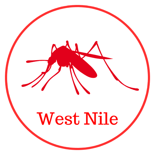 west nile virus e dengue casi autoctoni mappa 2024