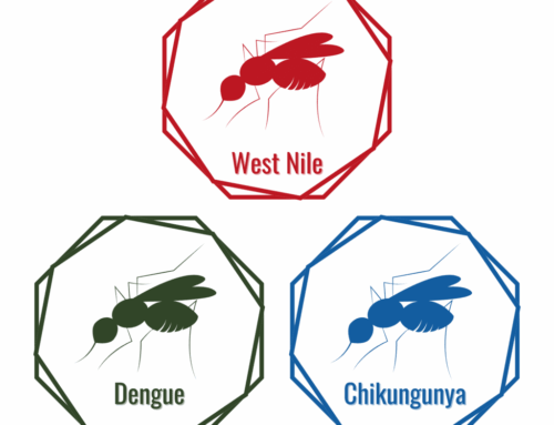 Arbovirus West Nile, Dengue e Chikungunya: la mappa dei casi autoctoni 2025