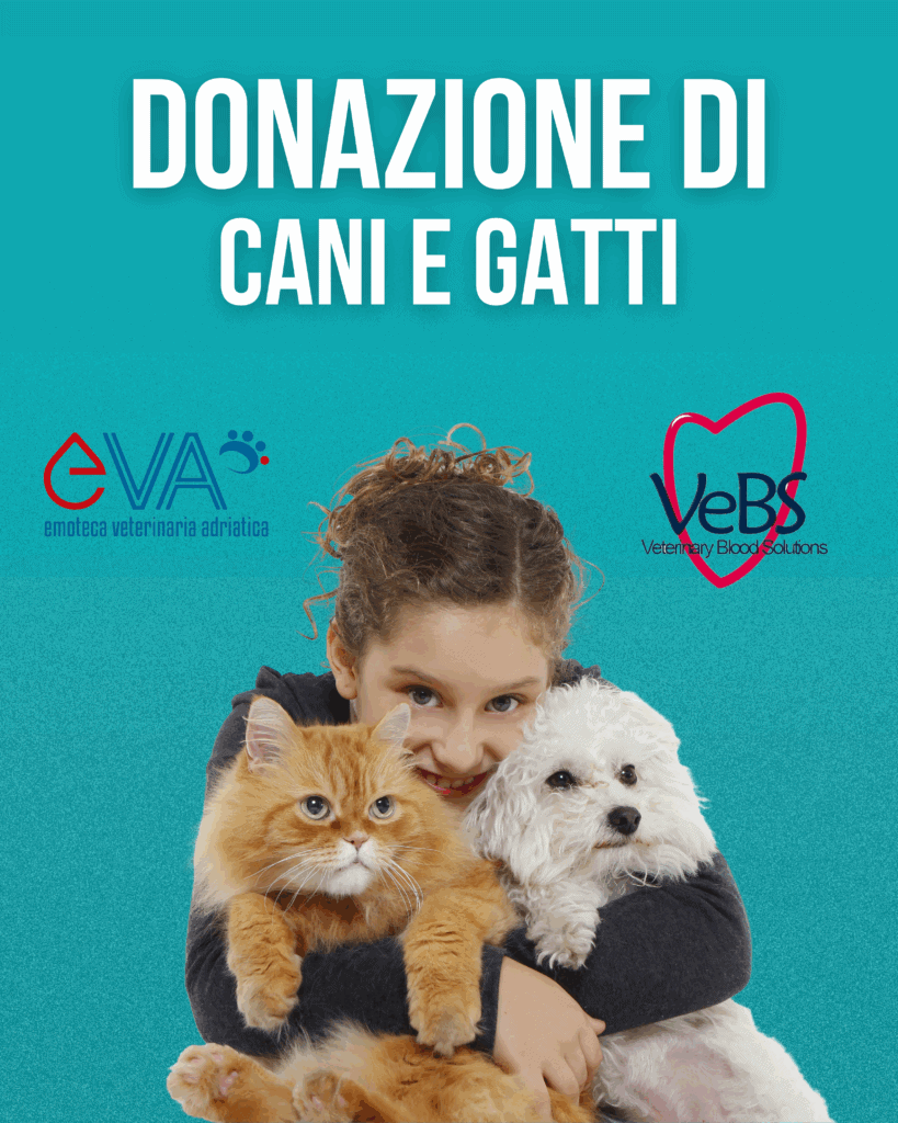 Donazione di cani e gatti