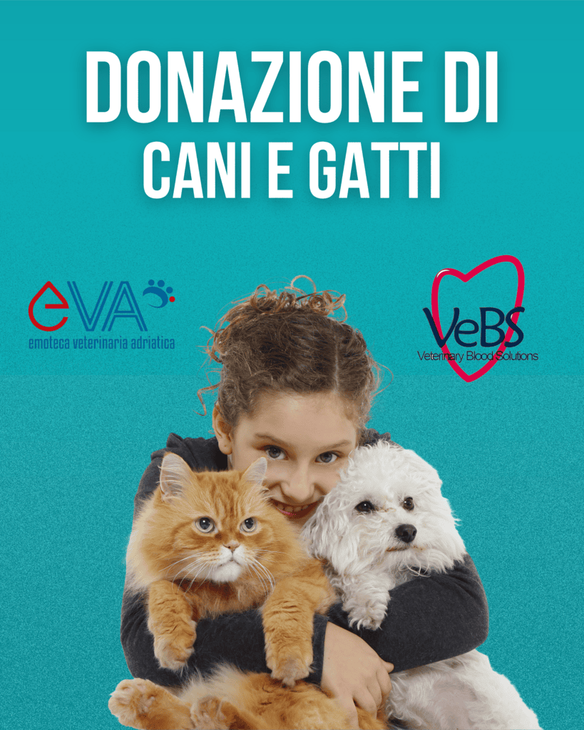 Donazione di cani e gatti