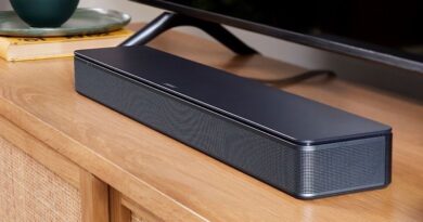 Bose TV Speaker