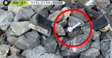 Panasonic design small objects picker solve fallen wireless earphones problem