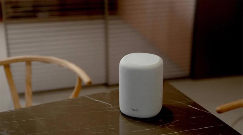 WiiM Sound Lite entry level budget smart speaker introduced