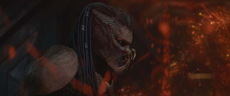 Predators Badlands now available on Disney+