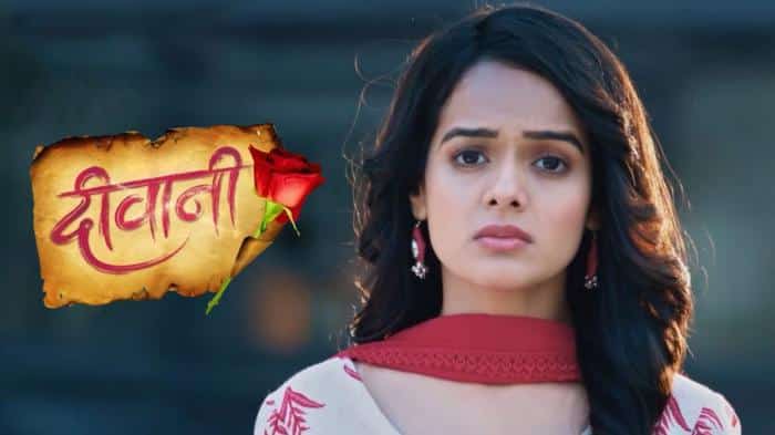 DANGAL TV’s “Deewani” Celebrates 100 Episodes: A New Milestone in Indian Television