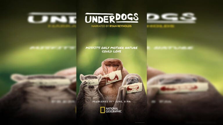 Ryan Reynolds Shines Light on Nature’s Misfits in National Geographic’s ‘UNDERDOGS’.