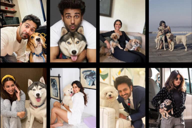 Bollywood’s Furry Friend Fest: Celebrating International Dog Day!