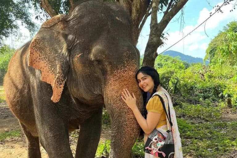 Adah Sharma’s Ganesh Chaturthi Celebration? It Involves Elephants!