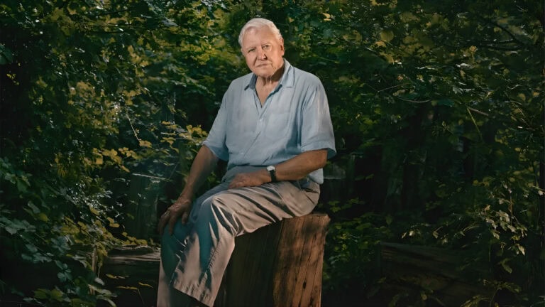 Sir David Attenborough Wins Emmy at 99, Sets New Record