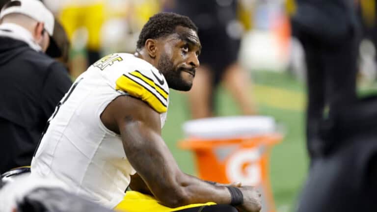 DK Metcalf Suspended: Steelers WR Punches Fan in Lions Game