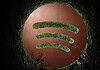 Spotify’s New “Reserved” Feature Gives Superfans First Crack at Concert Tickets