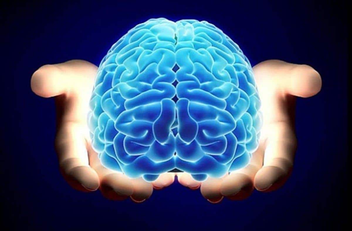 Beneficios de la ayahuasca: un resumen de la investigación científica