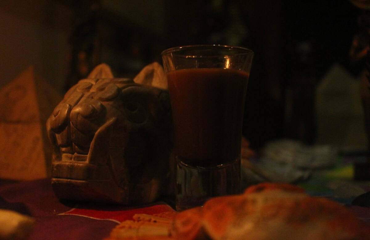 El Potencial Terapéutico de la Ayahuasca