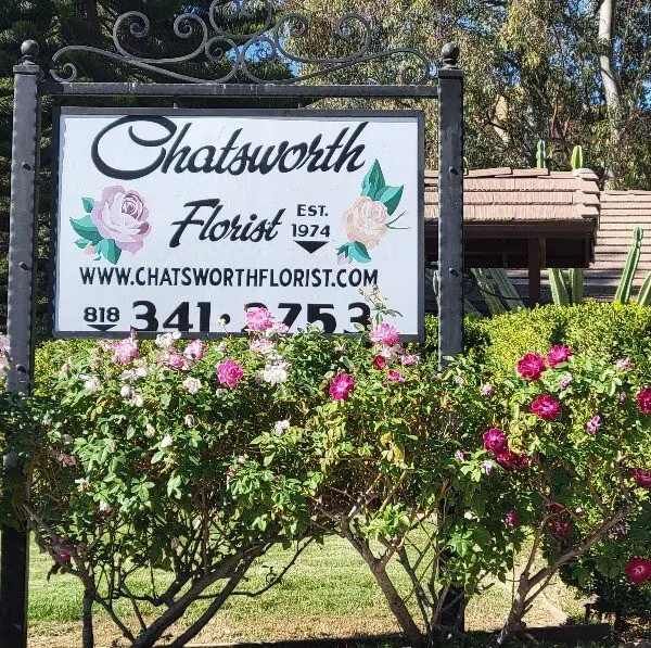 Chatsworth Florist Bagpipes Musician