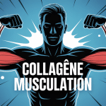 illustration collagène musculation silhouette haltères articulation