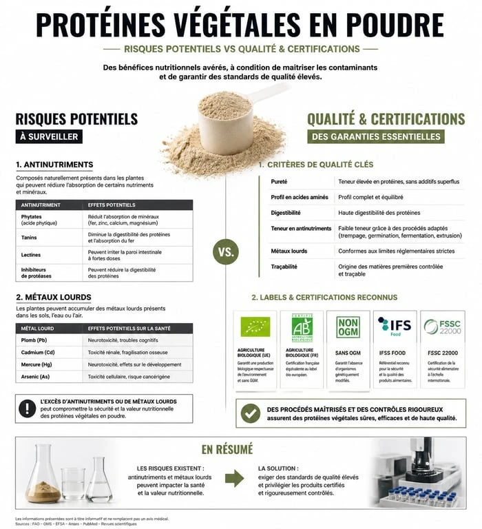 Infographie sur les risques et critères de qualité des protéines végétales en poudre