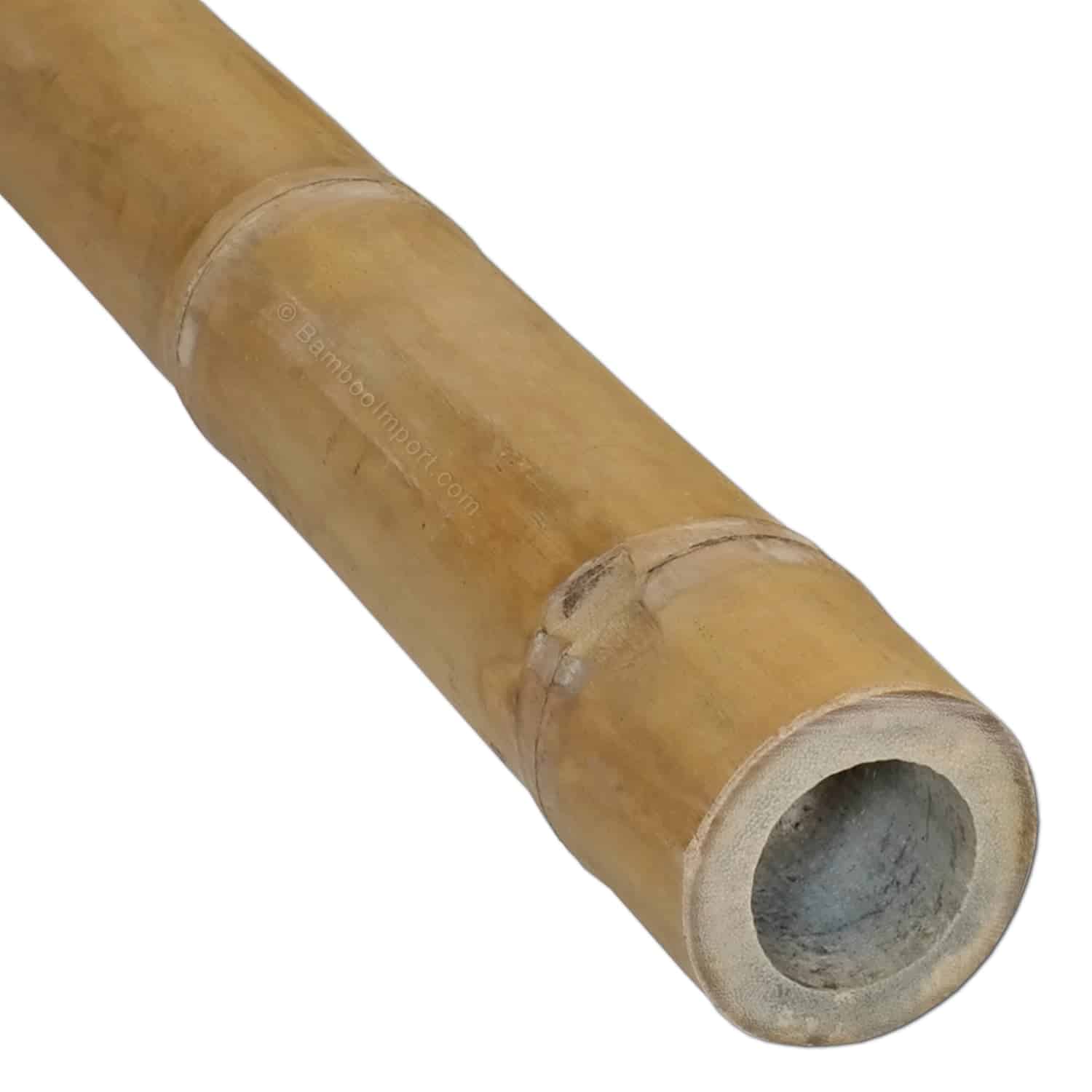 Bamboepaal Guadua Ø 5-7 x 300 cm