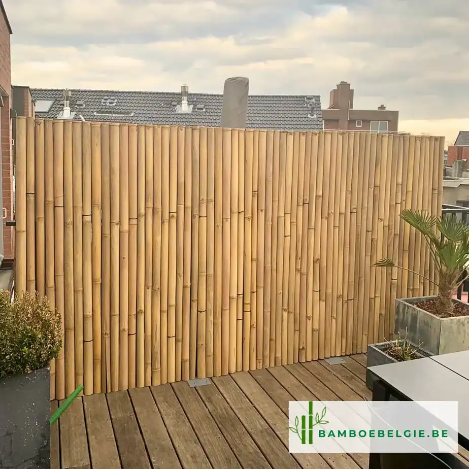 Bamboescherm halfrond naturel - Bamboe Belgie