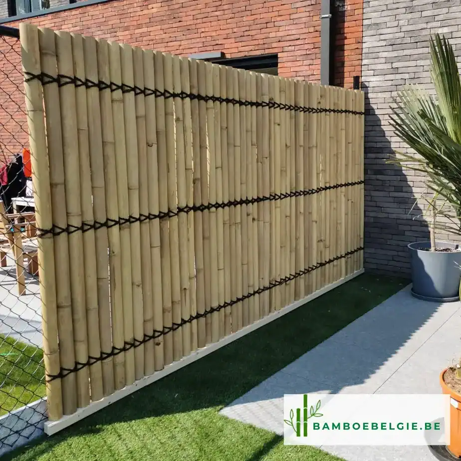 Bamboescherm halfrond naturel - Bamboe Belgie