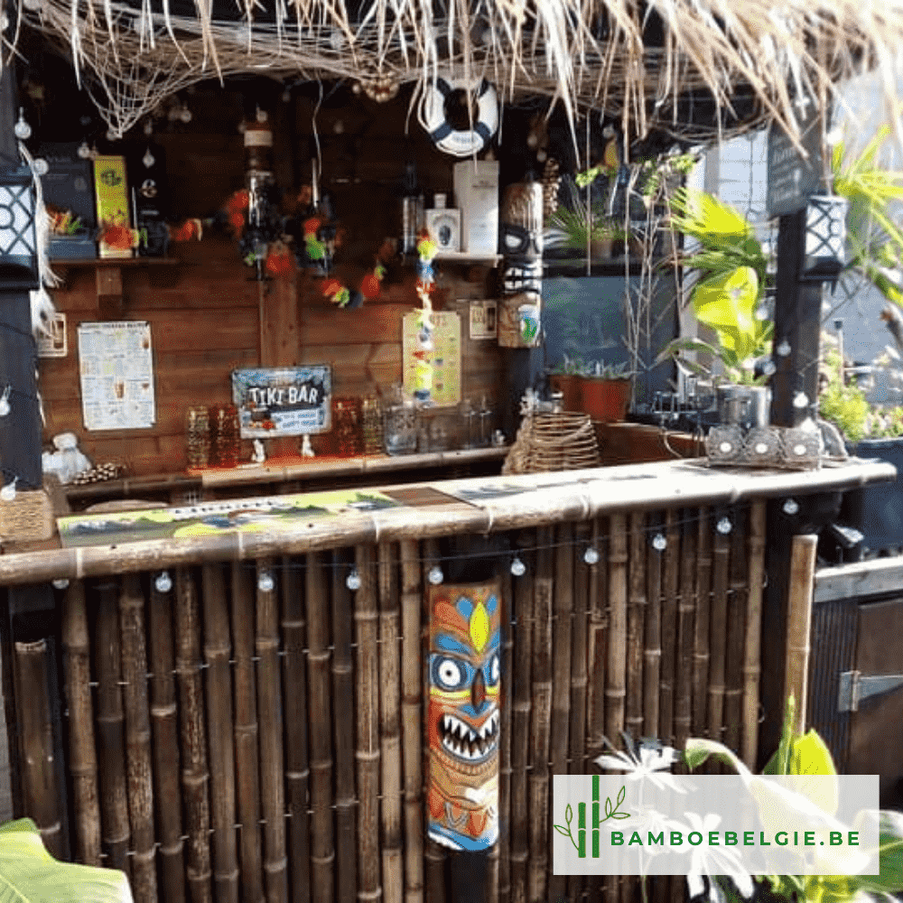 Bamboe bar met strodak - Bamboe België