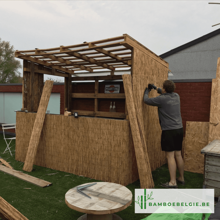 Bamboebar bouwen - Bamboe België