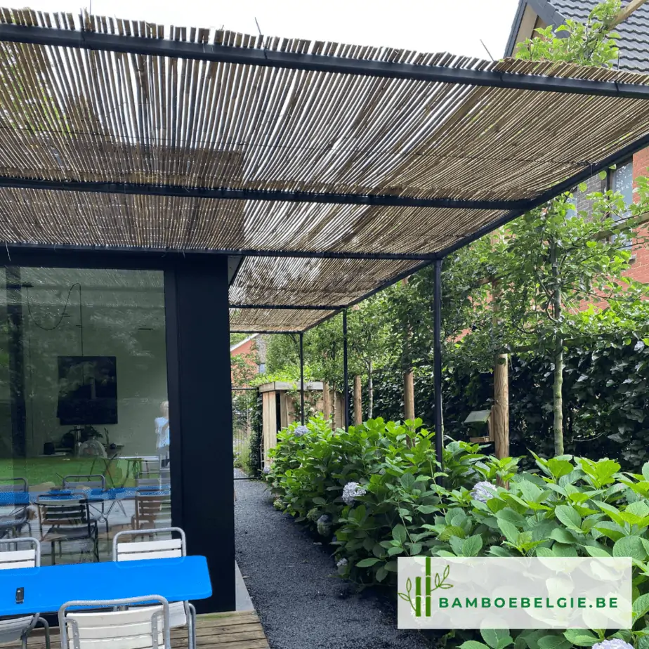 rietmatten dak - Bamboe België